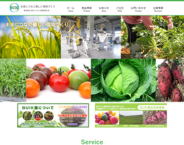 ホームページ 株式会社BUIKシステム販売西日本